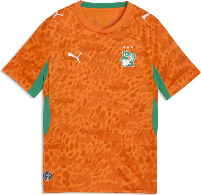 Puma FIFA WM 2026 Elfenbeinküste