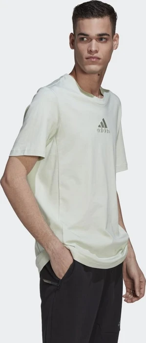adidas Studio Lounge T-Shirt kurzarm linen green (Herren)