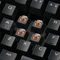 Sharkoon Skiller Mech SGK3, LEDs RGB, Kailh BROWN, USB, US Vorschaubild