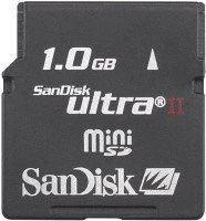 SanDisk 1GB