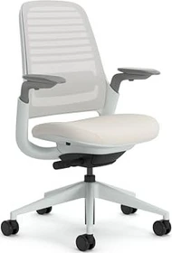 Steelcase Series 1 Bürostuhl, möwe