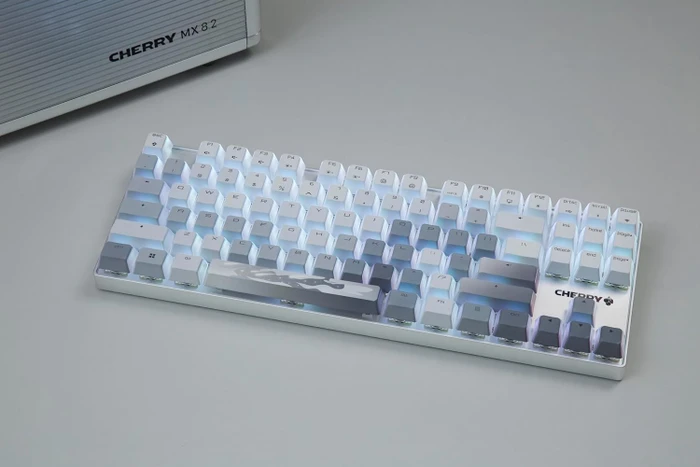 Cherry MX 8.2 TKL Wireless, XAGA Edition, PBT, silber/weiß, MX2A RGB RED, USB/Bluetooth, DE