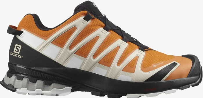 Salomon XA Pro 3D V8 GTX marmalade/rainy day/white (Herren)