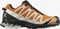 Salomon XA Pro 3D V8 GTX marmalade/rainy day/white (Herren) Vorschaubild