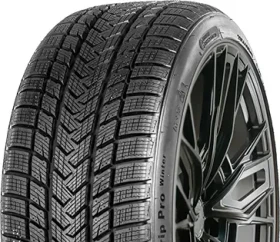 Gripmax Status Pro W 195/55 R20 95H XL