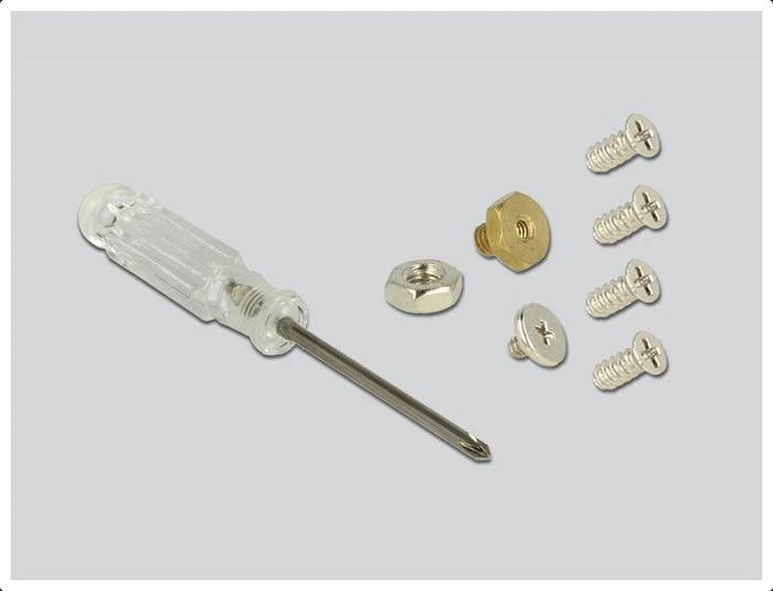 DeLOCK SATA -> M.2 SATA