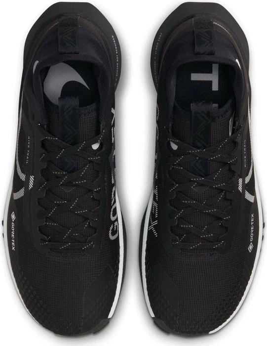 Nike React Pegasus Trail 4 Gore-Tex black/reflect silver/wolf grey (Damen)