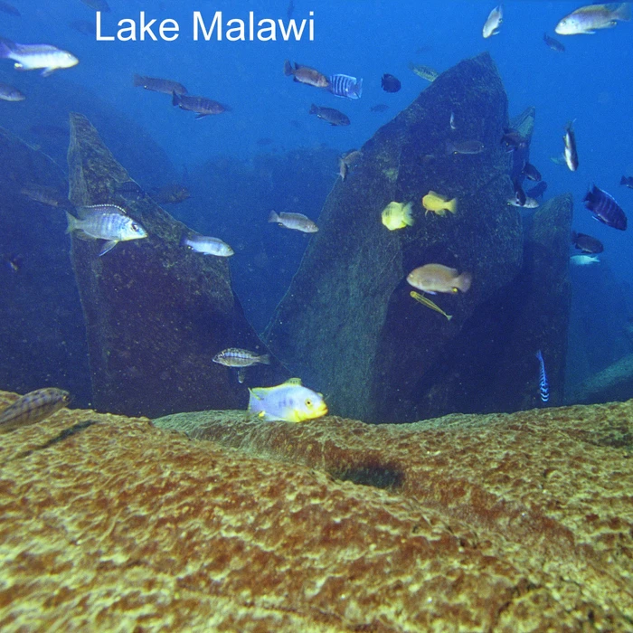 JBL Aquadur Malawi-Tanganjika, Aufhärtungssalz-Wasseraufbereiter für Malawi und Tanganjikasee-Aquarien
