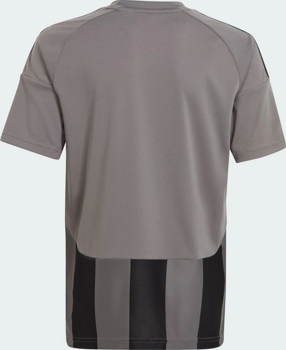 adidas Striped 24 Trikot kurzarm team grey four/black (Junior)