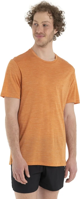 Icebreaker Merino Sphere II Funktionsshirt kurzarm earth heather (Herren)