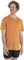 Icebreaker Merino Sphere II Funktionsshirt kurzarm (Herren) Vorschaubild