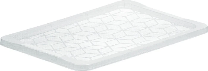 Rotho Evo Aufbewahrungsbox transparent/weiß