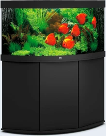 Juwel Trigon 350 LED Aquarium-Set mit Unterschrank, schwarz/schwarz, 350l