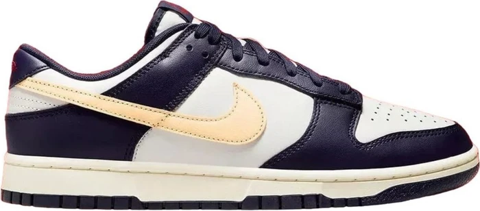 Nike Dunk Low Retro sail/coconut milk/purple ink/melon tint (Herren)