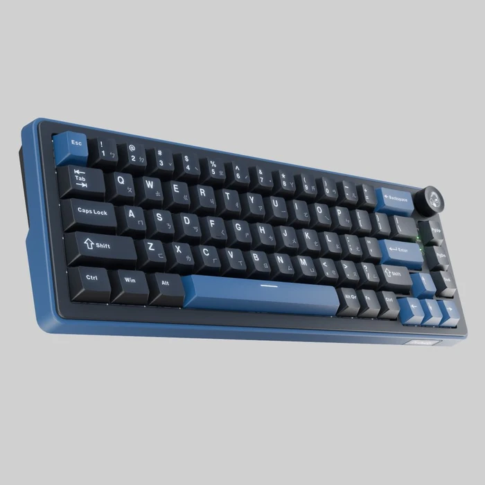 Ducky OK-M-65, Black and Blue, KKT Baby Blue Tactile, USB/Bluetooth, DE