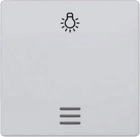Siemens DELTA i-system Wippe mit Fenster mit Symbol Licht, aluminiummetallic