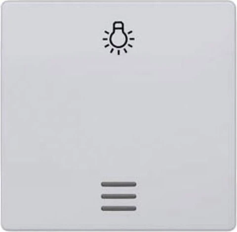 Siemens DELTA i-system Wippe mit Fenster mit Symbol Licht, aluminiummetallic