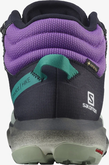 Salomon Predict Hike Mid GTX black/aqua gray/royal lilac (Herren)