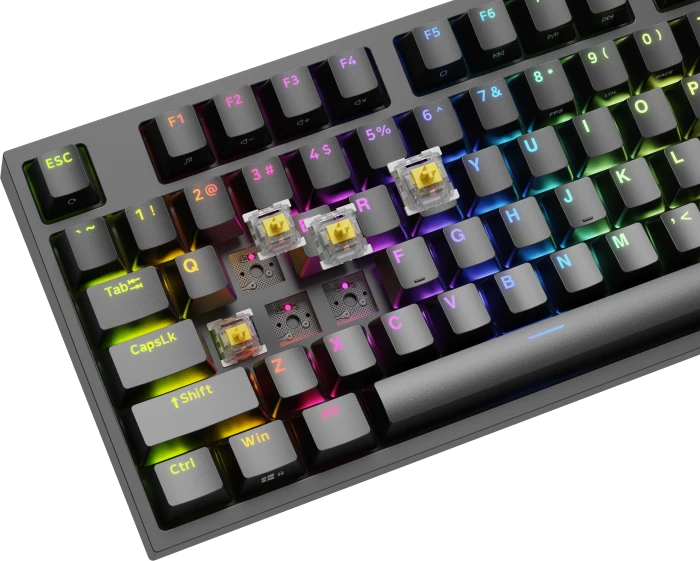 Genesis Thor 404 TKL, schwarz, LEDs RGB, hot-swap, Gateron Pro YELLOW, USB, DE