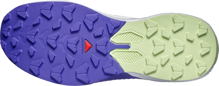 Salomon Pulsar Trail shadow gray/deep blue/butterfly (Damen)