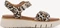 Tamaris Comfort Wide Fit beige leo (Damen) Vorschaubild