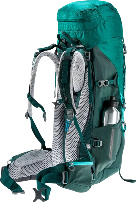 Deuter Aircontact Lite 35+10 SL alpinegreen/forest (Damen)