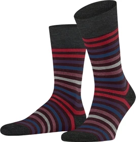 Falke Tinted Stripe Socken barolo (Herren)