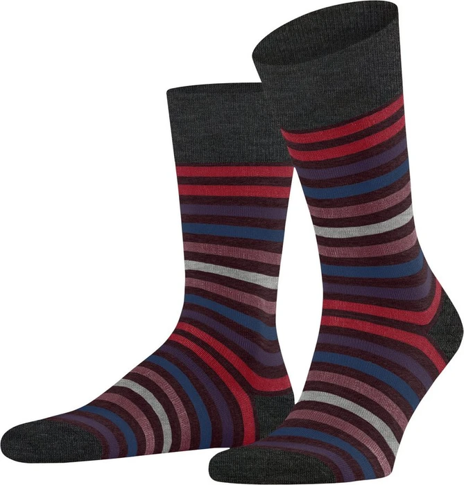 Falke Tinted Stripe Socken (Herren)