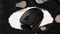 Keychron M2 Wireless Mouse schwarz, USB/Bluetooth Vorschaubild