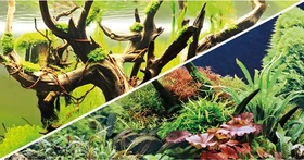 Hobby Fotorückwand Green Secret & Wood Island