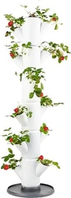 Gusta Garden Sissi Strawberry Classic Erdbeerbaum Rankhilfe weiß