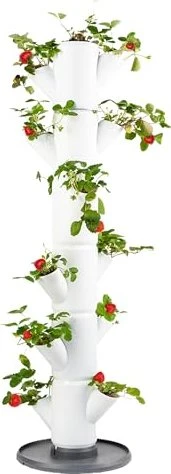 Gusta Garden Sissi Strawberry Classic Erdbeerbaum Rankhilfe weiß