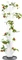 Gusta Garden Sissi Strawberry Erdbeerbaum Rankhilfe Vorschaubild