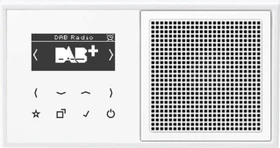 Jung Serie LS Smart Radio DAB+ Set Mono, alpinweiß