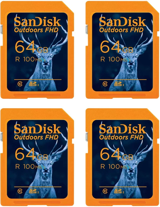 SanDisk Outdoors FHD R100 64GB, UHS-I U1, Class 10, 4er-Pack