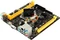 Biostar A10N-8800E V6.0 Vorschaubild