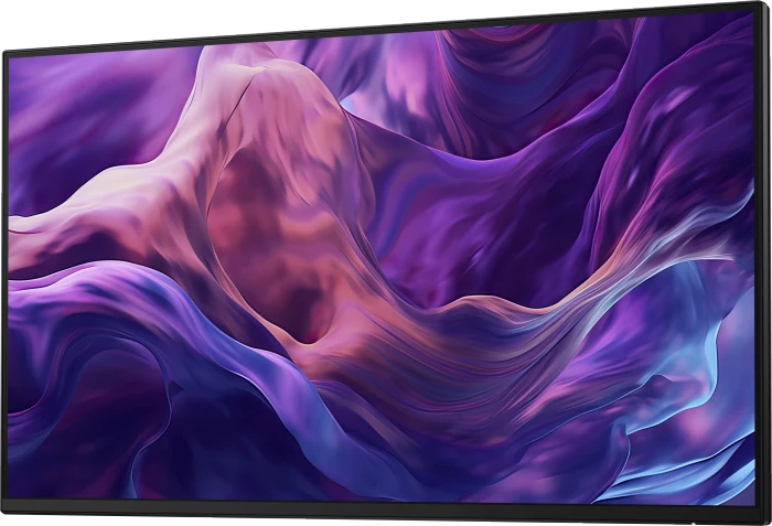 Dell P2425H WOST (ohne Standfuß), 23.81"