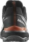 Salomon X Ultra 360 GTX quiet shade/black/spice route (Herren) Vorschaubild