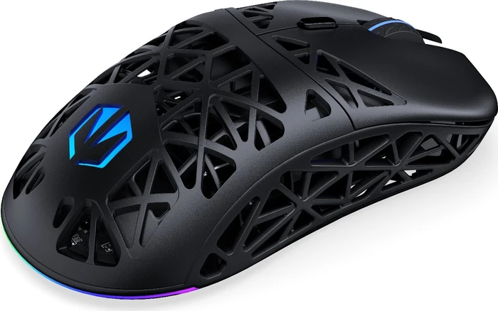 Endorfy LIV Wireless, schwarz, USB/Bluetooth