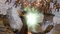 Fire Emblem Warriors: Three Hopes (Switch) Vorschaubild