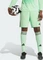 adidas Tiro 24 Shorts (Herren) Vorschaubild