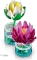 LEGO Botanicals - Seerosen Vorschaubild