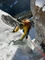 Exped Serac 50 M gold Vorschaubild