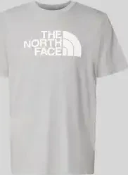 The North Face Evolution Half Dome T-Shirt kurzarm tnf pale grey heather/tnf white (Herren)