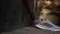 adidas Runfalcon 5 halo silver/core black/dusky orange (Herren) Vorschaubild
