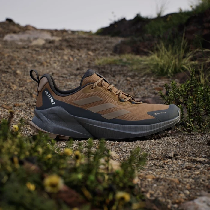 adidas Terrex Trailmaker 2.0 GTX bronze strata/blanch cargo/carbon (Herren)