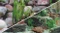 Hobby Fotorückwand Steine 1 & Steine 2 Vorschaubild