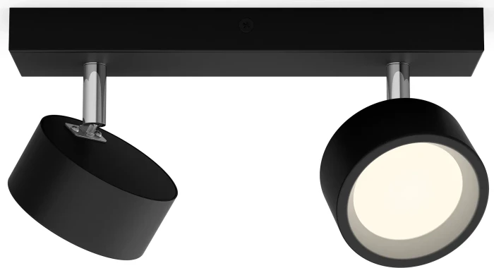 Philips Bracia Spot 2-flammig schwarz