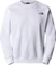 The North Face NSE Raglan Box Sweatshirt (Herren) Vorschaubild