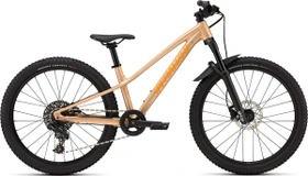 Specialized Riprock Comp 24 gloss photon tint over flake silver Modell 2026